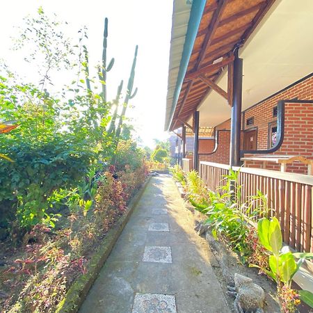 Green Orry Inn Tetebatu Luaran gambar