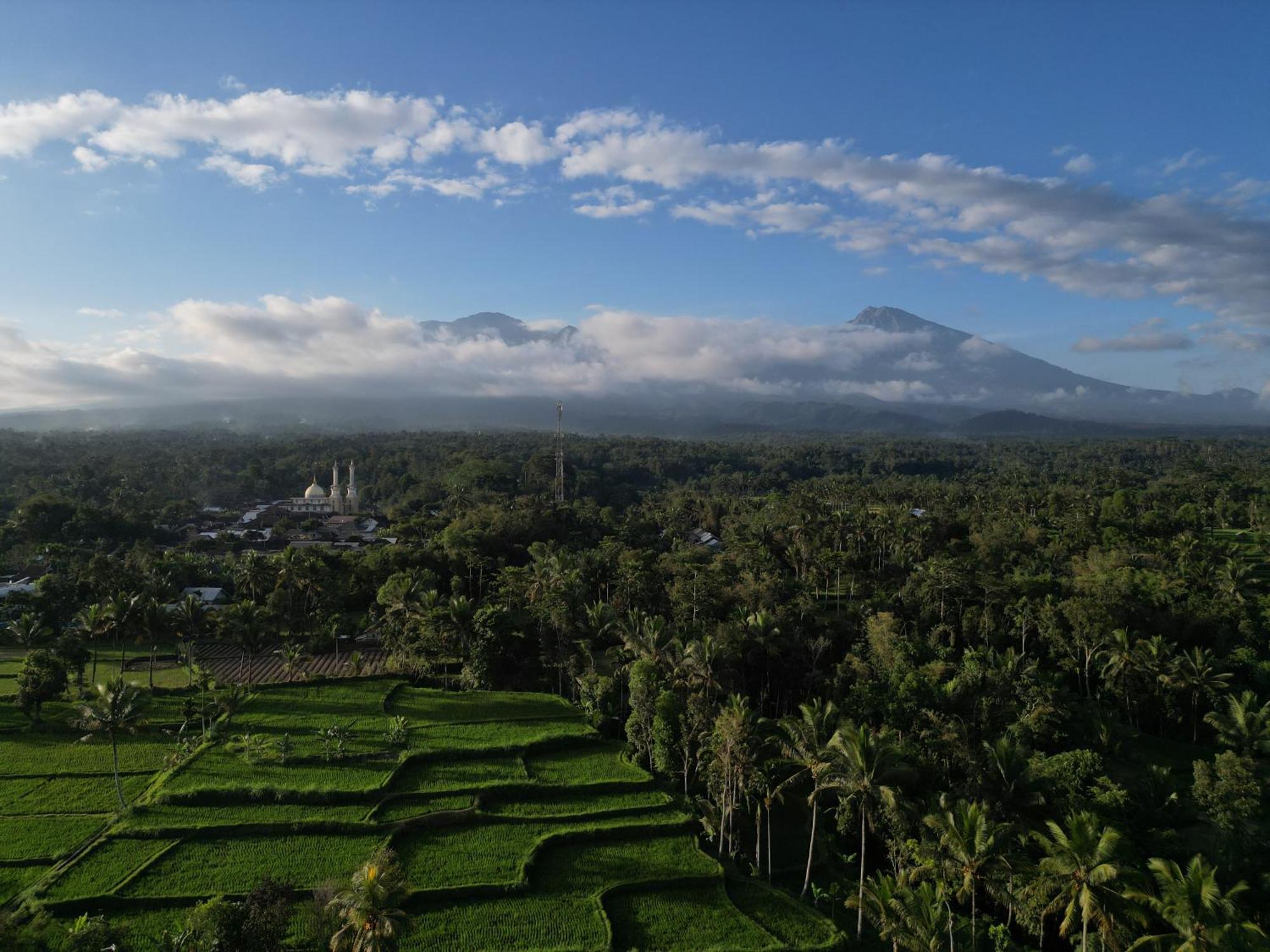 Green Orry Inn Tetebatu Luaran gambar