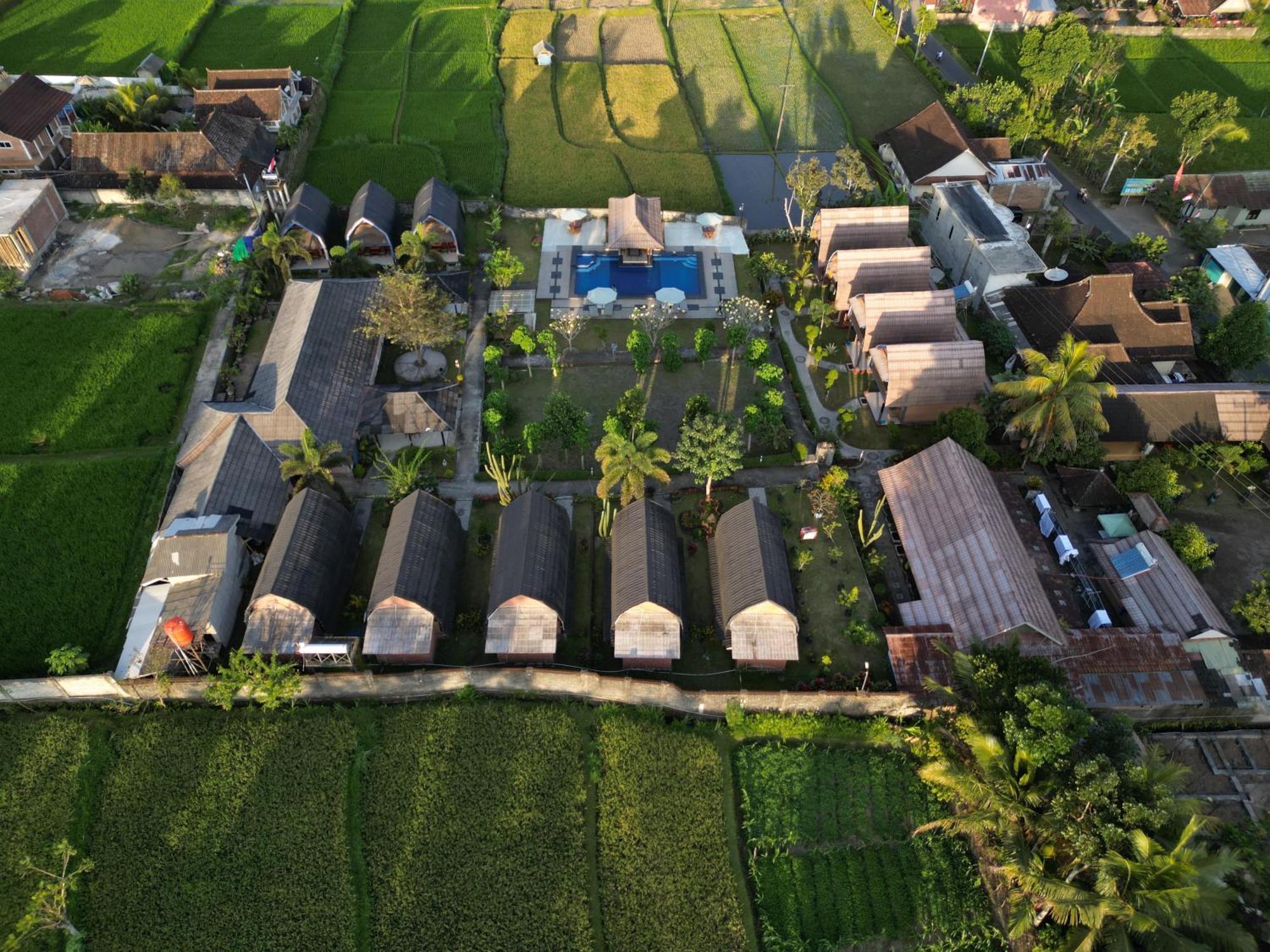 Green Orry Inn Tetebatu Luaran gambar