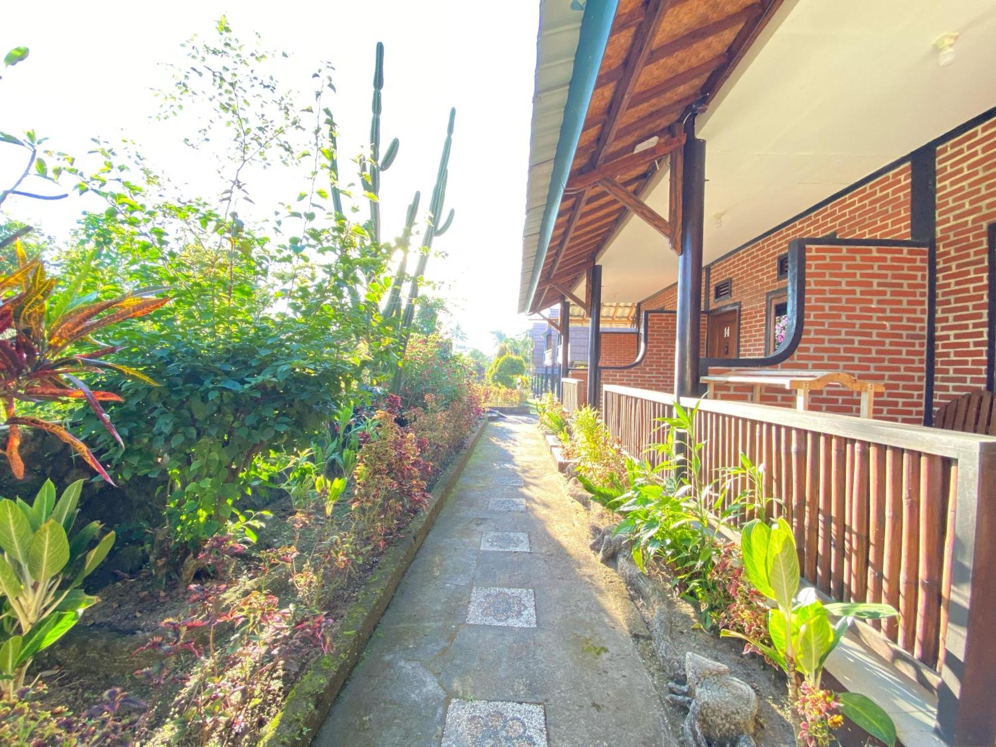 Green Orry Inn Tetebatu Luaran gambar